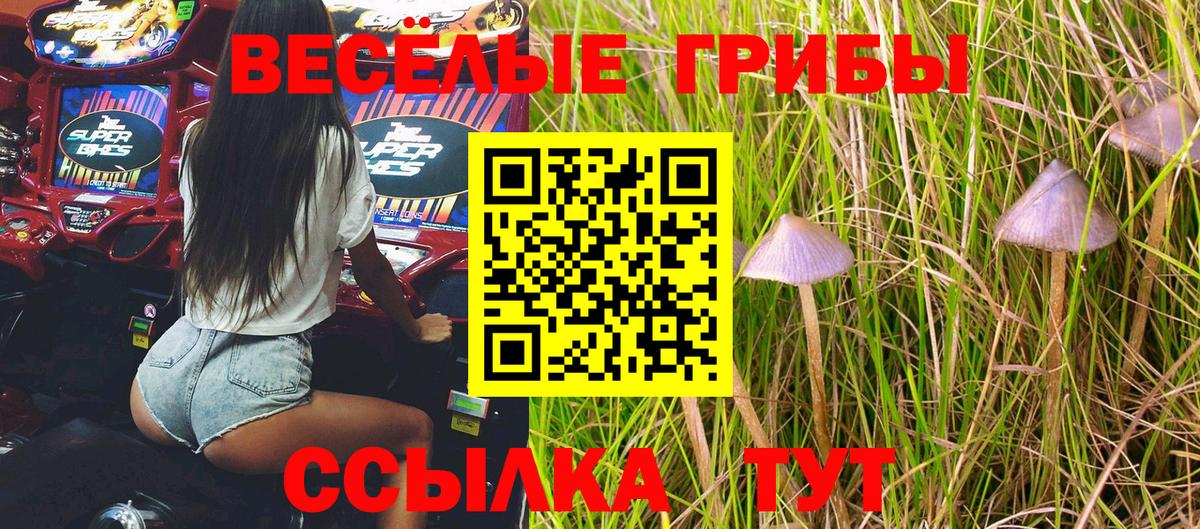 Холмск  Галлюциногенные грибы Psilocybine cubensis  Вход с VPN 