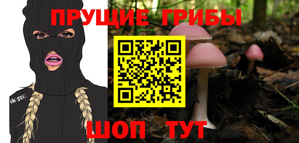 Галлюциногенные грибы Psilocybine cubensis Холмск